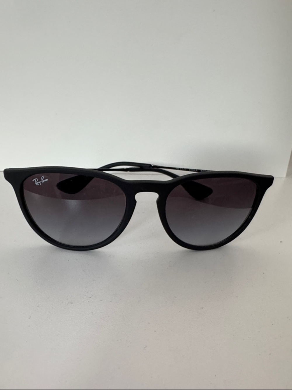 Ray-Ban Erika Sunglasses